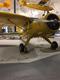 STINSON STINSON GULLWING