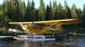 1947 CUB CUB - MAKE AN OFFER — photo 1