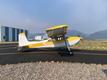 1978 Cessna LOW TIME CESSNA 180 — photo 2