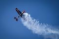 WORLD'S WORLD'S FINEST YAK-50 — photo 3