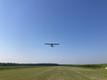 1946 LUSCOMBE LUSCOMBE 8A-READY TO FLY — photo 4