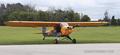 2008 AMERCAN AMERCAN LEGEND CUB — photo 2