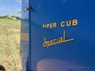 1946 PIPER PIPER PA-11 CUB SPECIAL! — photo 4
