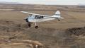 CESSNA CESSNA 170 — photo 1