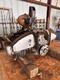 1946 TAYLORCRAFT TAYLORCRAFT BC-12D — photo 5