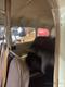 1961 CESSNA CESSNA 185A — photo 5