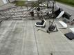 1946 Piper PIPER PA-12 PROJECT — photo 3