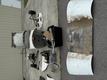 1946 Piper PIPER PA-12 PROJECT — photo 4