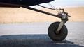 1955 Cessna CESSNA 180 — photo 5