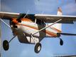 1980 Cessna CESSNA A185F FOR SALE — photo 1