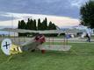 FOKKER FOKKER D7 REPLICA — photo 5