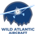 BARNSTORMERS.COM Find Aircraft & Aircraft Parts - Airplane Sale, Jets ...